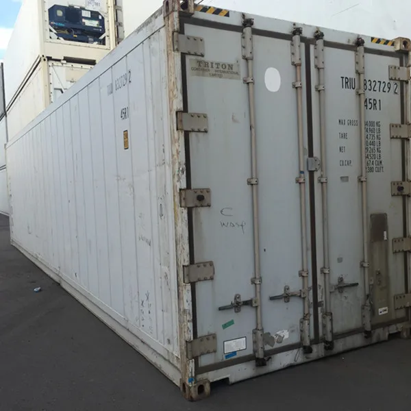 40ft Reefer Container with Carrier Microlink-3 Machine