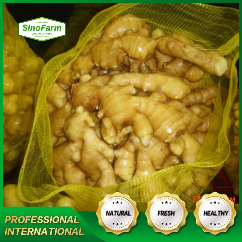 
Fresh yellow elephant ginger price for export to UK 
