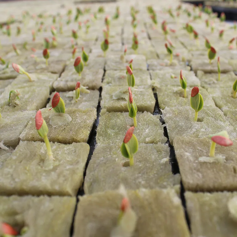 Hydroponics Plant Agricultural Rock Wool Sprouting Seeding Rock Miner Wool Rock Wool Plugs
