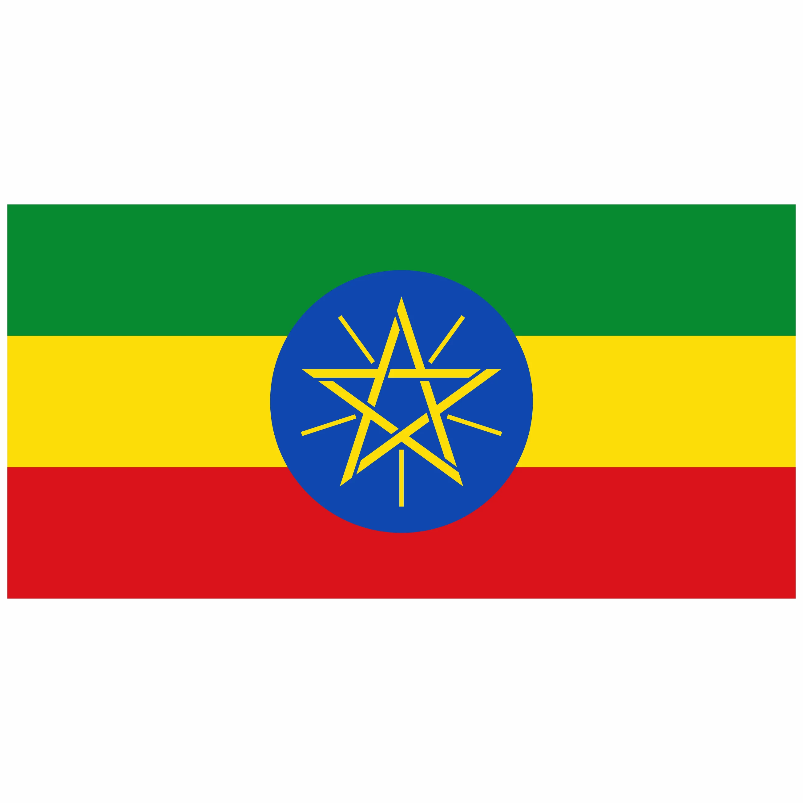 Ethiopian lion flag satin sale Ethiopia flag advertisement outdoor National flag banner