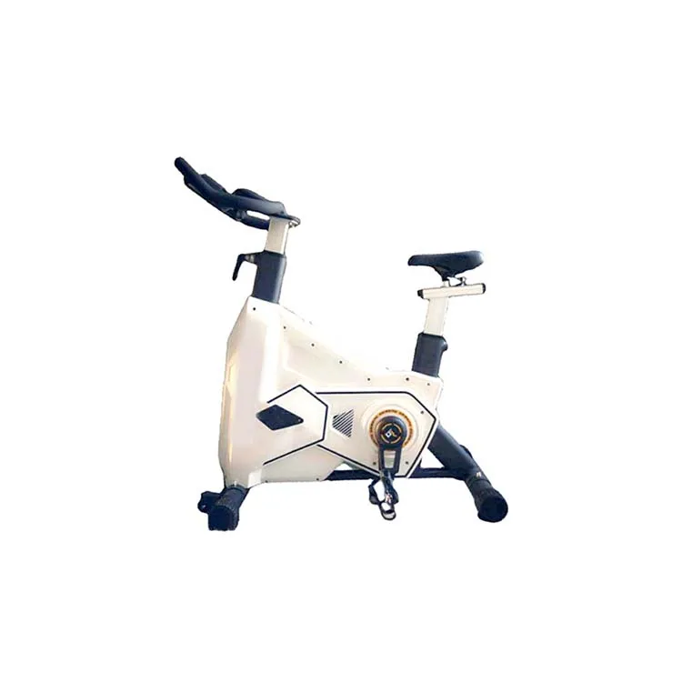 Gym Crossfits Exercise Bicycle Indoor gym Equipment 13kg flywheel fitness bike for gym club Dynamic spinning bike