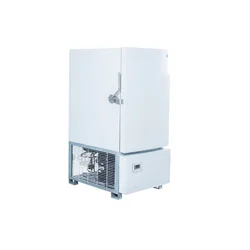 Морозильная камера для льда, шоковые холодильники, Контактная Пластина, морозильная камера PF-10, коммерческий мини-холодильник из Таиланда