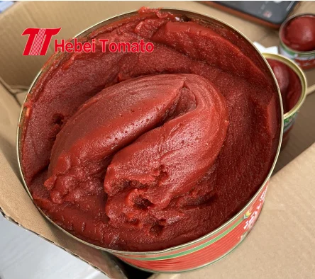 Wholesale High Quality Canned Tomato Paste Manufacturer Without Additive