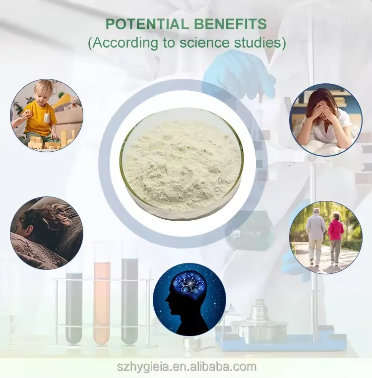 Wholesale Sunflower Seed Source Soybean Extract PS Supplement CAS 51446-62-9 Phosphatidylserine Powder