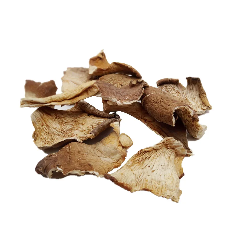 Oyster Mushroom Slices Cheap Price Gutailang Foods Pleurotus Ostreatus Dried Shiitake Mushroom Dried Oyster Mushroom Slices