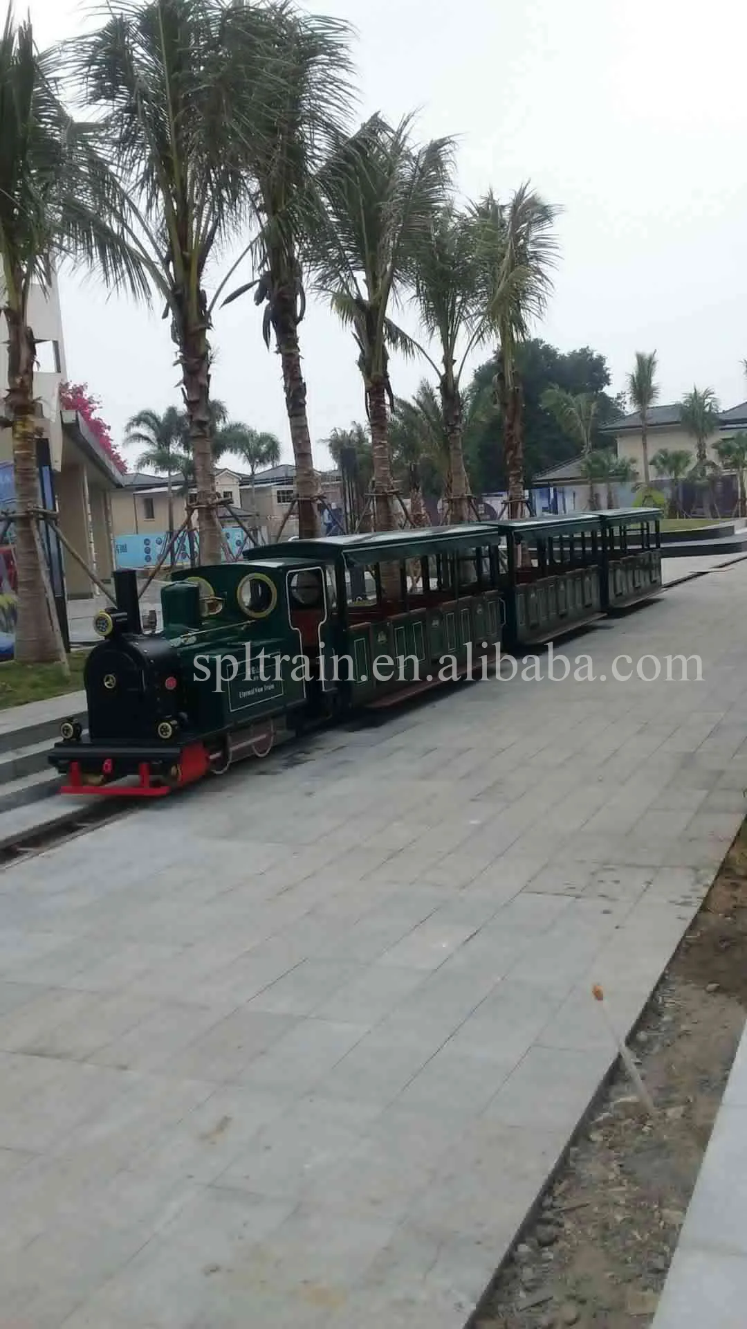 
Children Adult Outdoor Sightseeing Entertainment Amusement Park Diesel Storage Battery Electric Rail Track Train Rides 