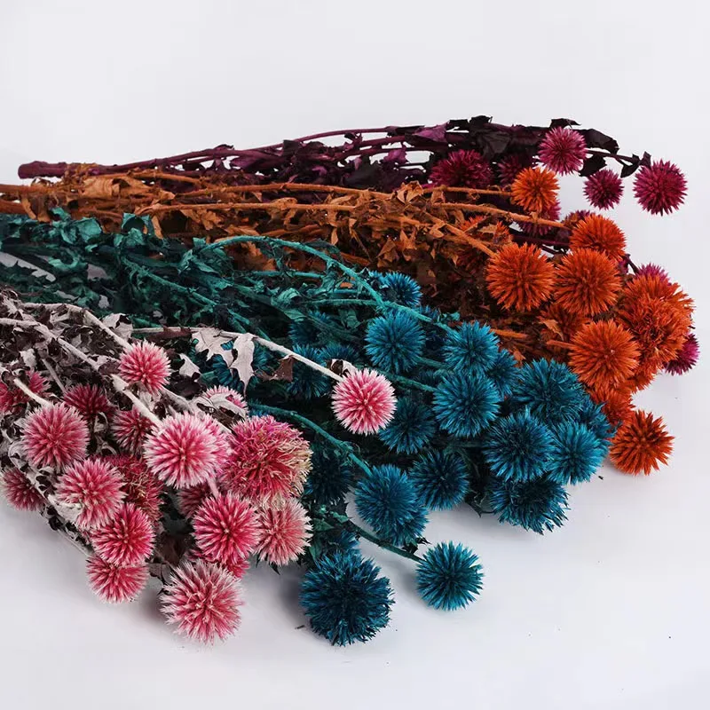 INS most popular colorful echinops preserved blue planet Eryngium  dried flowers and plants for wedding home decoration