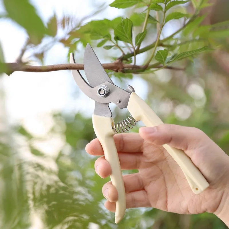 Sharp Garden Shears for Cutting Flowers, Trimming Plants Curve Garden Scissor