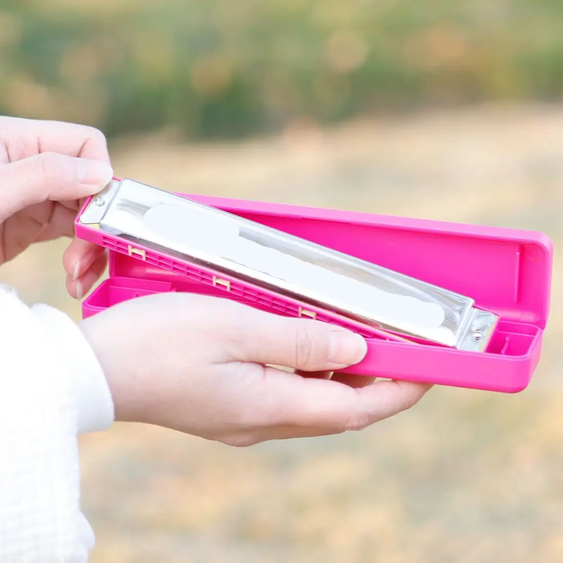 Playing Musical Instrument 24-Hole Polyphonic C Key Harmonica Student Beginner Playing Stainless Steel Mouth Playing Piano