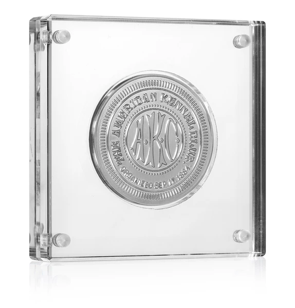 Great quality Acrylic Challenge Coins Display Stand and Floating Clear Case with good packing
