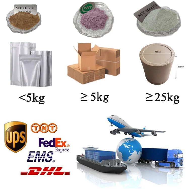 ISO Factory High Quality Water Soluble Mint Powder