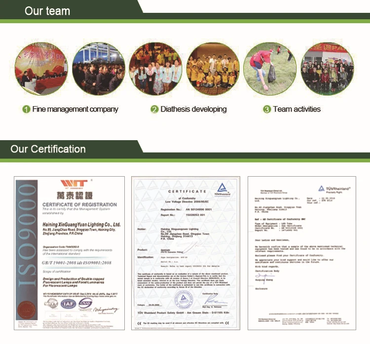 High quality 2ft 4ft Microwave Motion Sensor Detective 9W 18W Glass t8 led tube