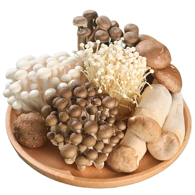 China finc factory cultivation fresh white mushrooms shiitake enoki king oyster mushroom combination