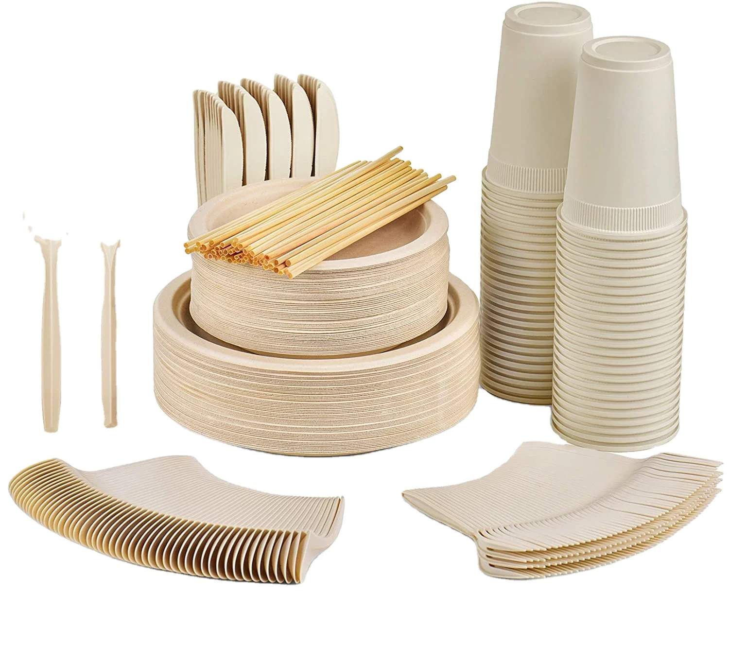 Customizable Disposable Biodegradable Sugarcane Bagasse Meat Fruit Packing Trays