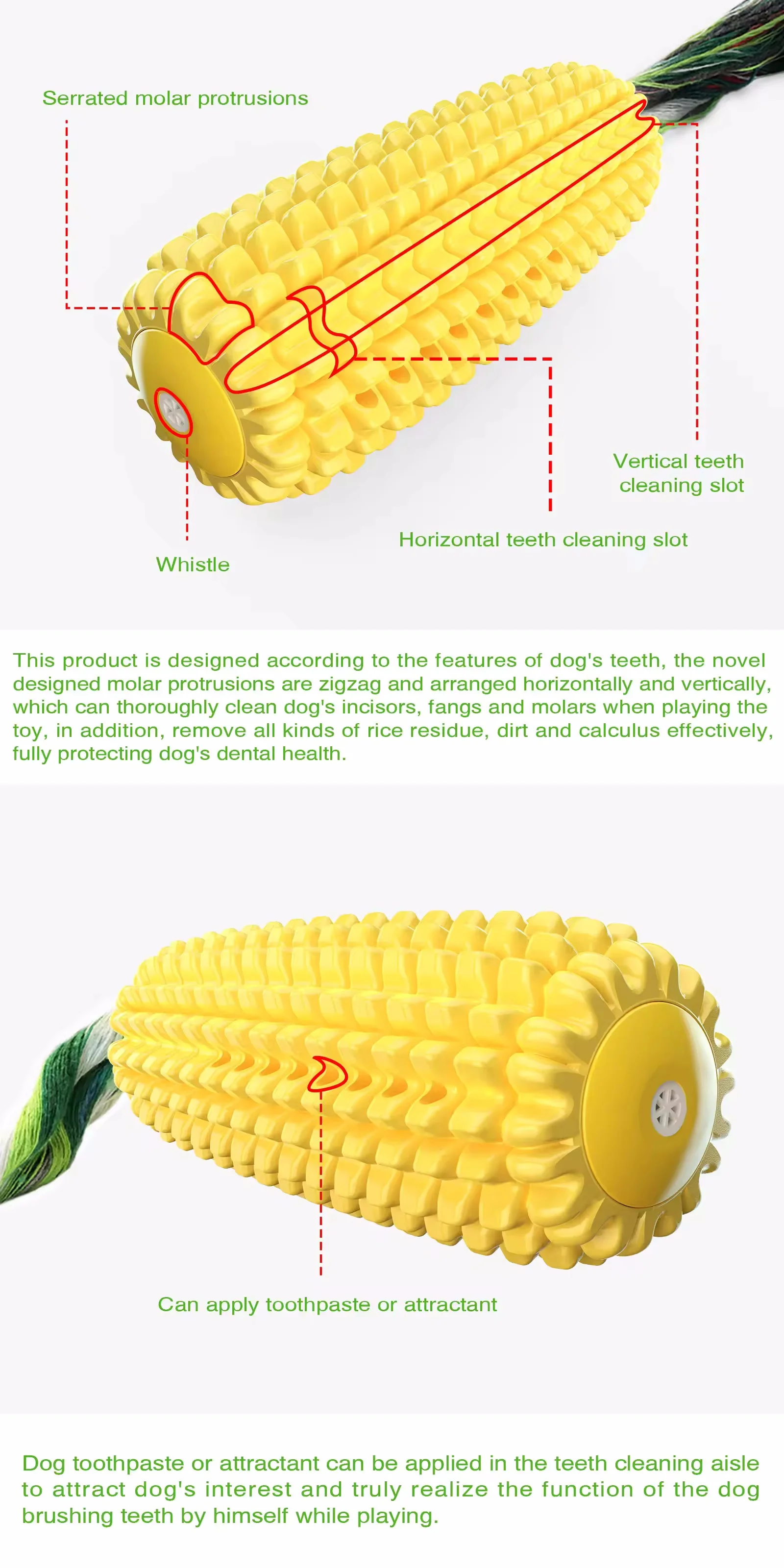 Hot Sale Corn Shape Puppy Chew Toy TPR Pet Dog Molar Toy Dog Interactive Toothbrush Toy