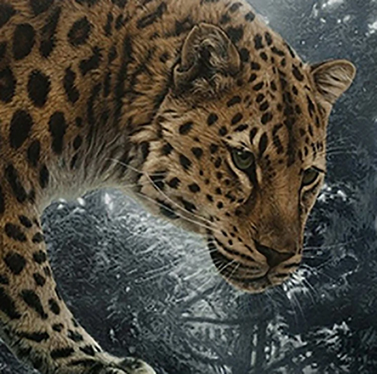 Good quality Coloured drawing painting Full drill diamond kits painting 5D diamond adults Animal decoration painting