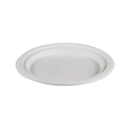 Compostable Sugarcane Pulp Plate,Disposable Pizza Plate Fruit Salad Plate