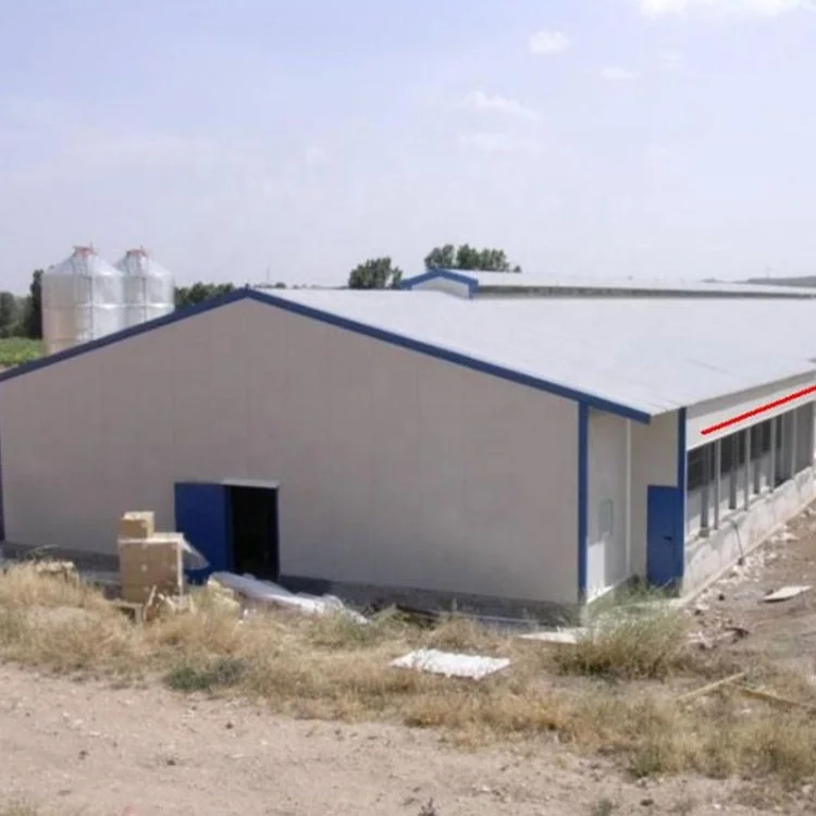 Modern Design Prefab Steel Structure Chicken Poultry Farm  For Sale