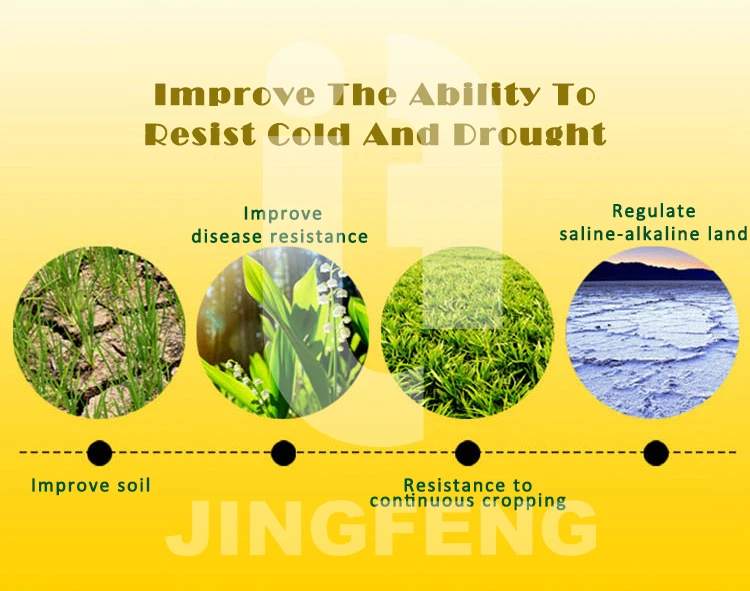 Improve the ability...