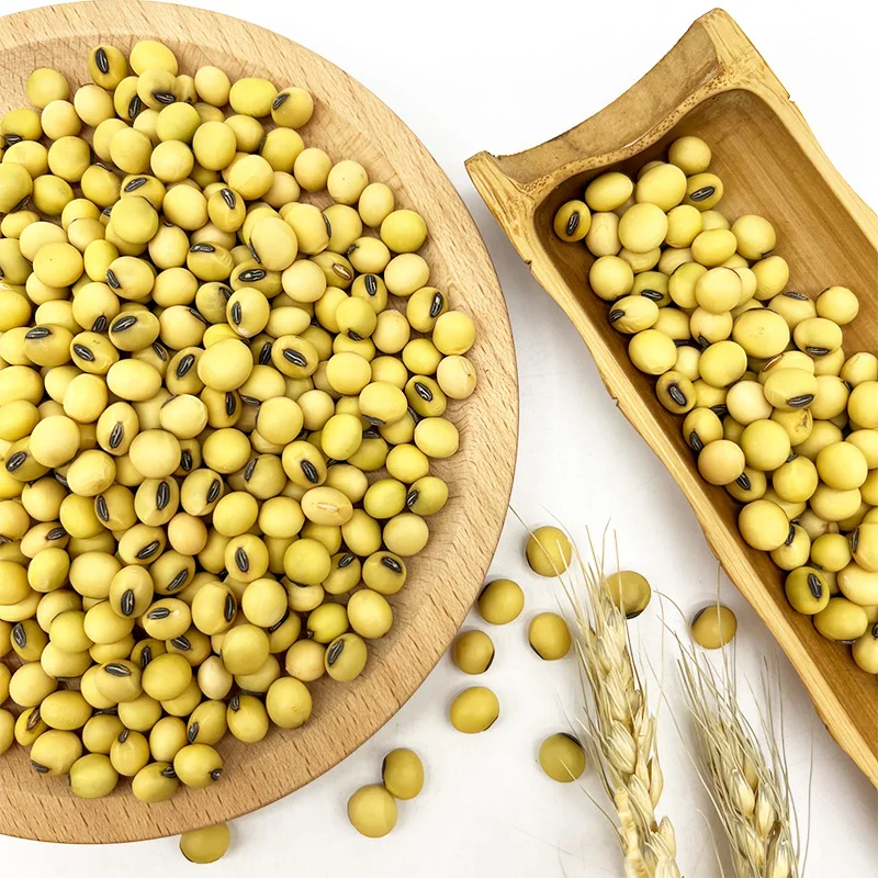 Non-GMO High Grade Good Quality Soy Beans Raw Soybean Grain Organic Bulk Soybean Seeds For Food
