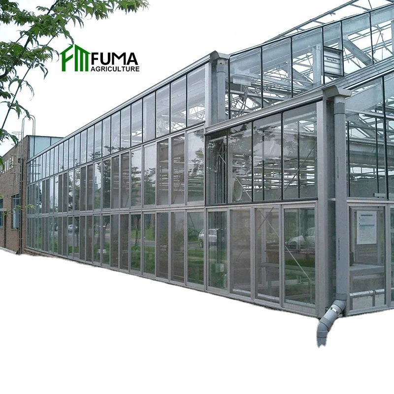 Многопролетные кратным green house в сельском хозяйстве гидропоники agricole стекло сер теплица на продажу
