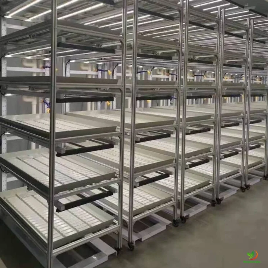 4x8 moveable vertical grow rack flood trays 2x4 for microgreens ,lettuce , salad hydroponics