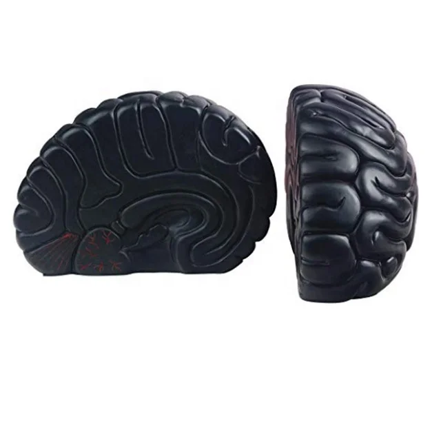 jinhuoba Bookends, Brain Decor Bookend Supports for Heavy Books, Home Decor Suitable for Office,