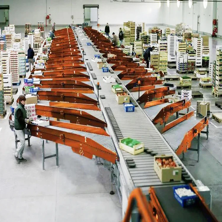 Automated Sorting System Wheer Sorter Conveyor China Parcel Dws Sorting System