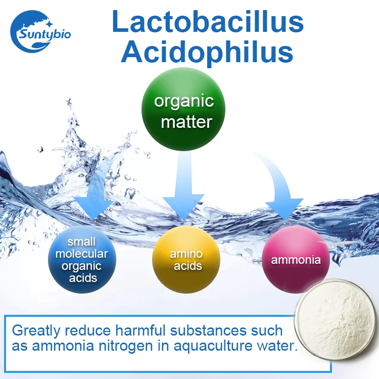 
Animal feed additives Lactobacillus Acidophilus powder 