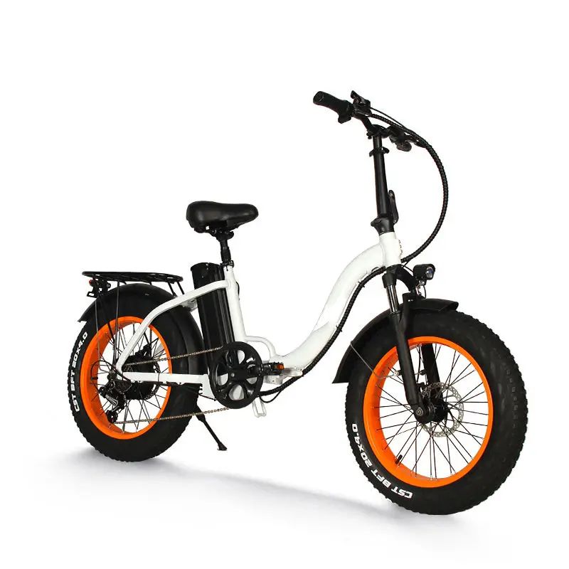 Adn-Ftc300 48v 10.5ah New Model Electric Bicycle Transmission 7 Speed Bicicletta Mtb Alu Alloy Ebike Elektrofahrrad