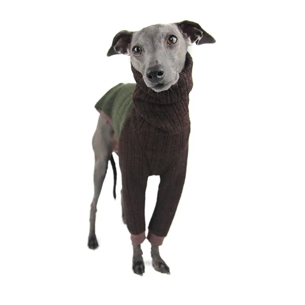 Luxury designer dog clothes Pet winter sweater dog fashion pet clothes gorgeous wooly romper braemar italian greyhound