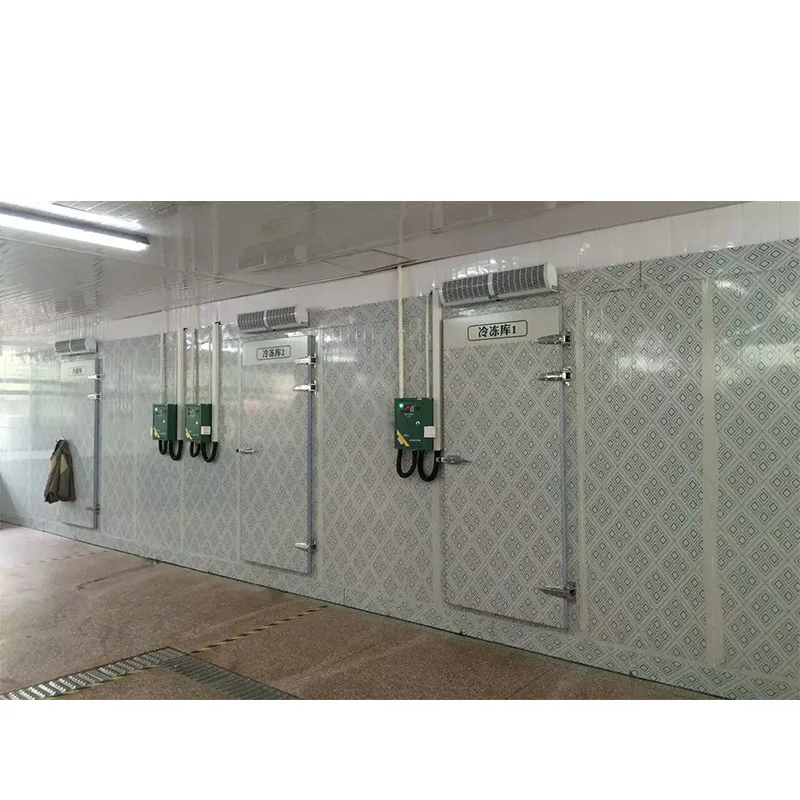 Walk in freezer cold storage refrigeration cold store machine cold room for fish storage
