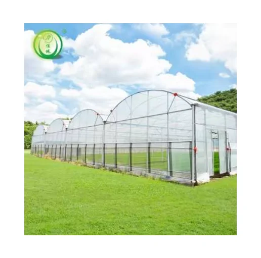 Jiapei potato Green House Large Hydroponics Multi-span Film Sheet Greenhouse with Tomato Growing System Large Large Solar Fans