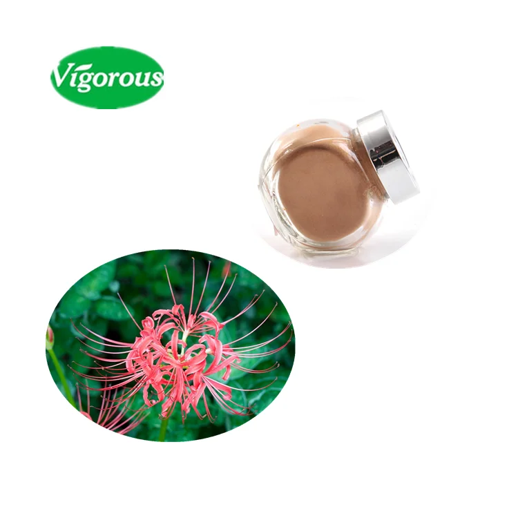 100% pure high quality hot sale Lycoris Radiata Extract