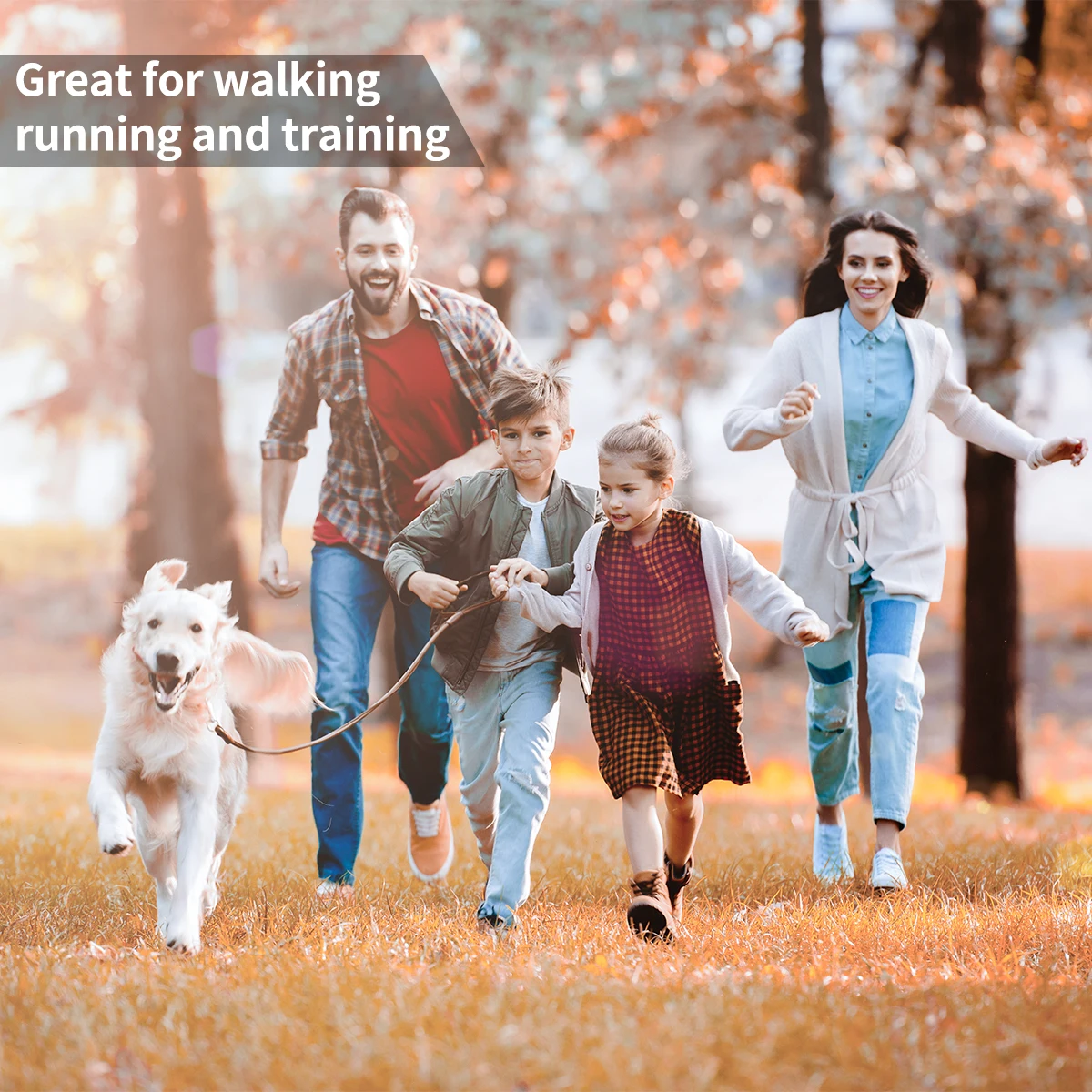 Pet Accessories Leather Dog Leash Factory Price Wholesale Leather Dog Leash