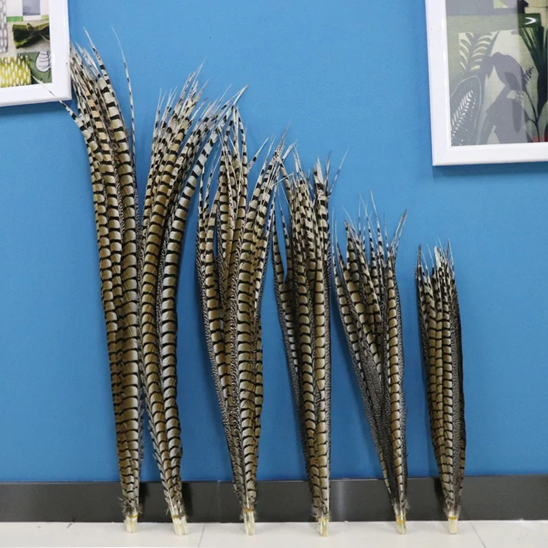 Factory Direct cheap sale 90-100cm Natural Lady Amherst Pheasant Tail Feather