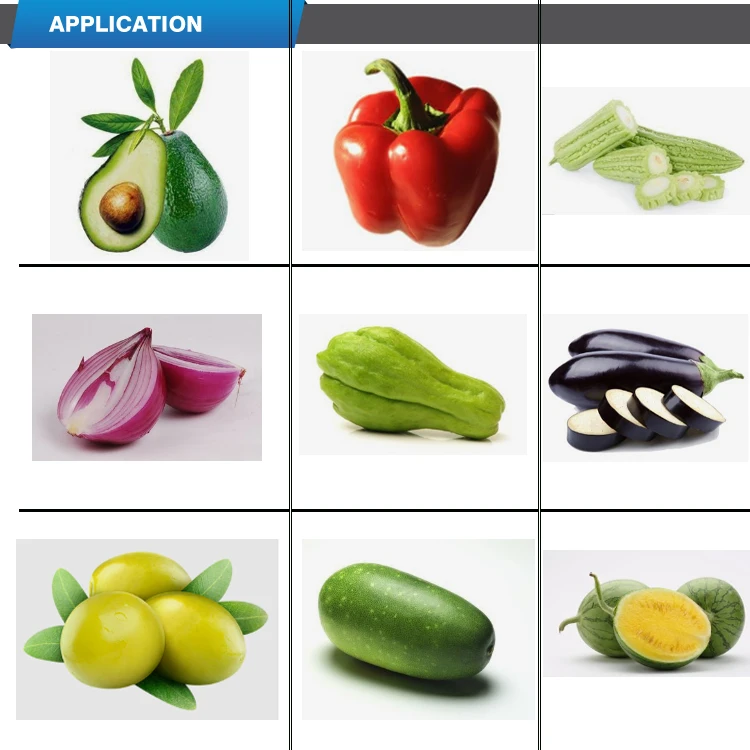 Zucchini courgette marrow winter melon west Indian gherkin vanilla vegetables fruit packing machine