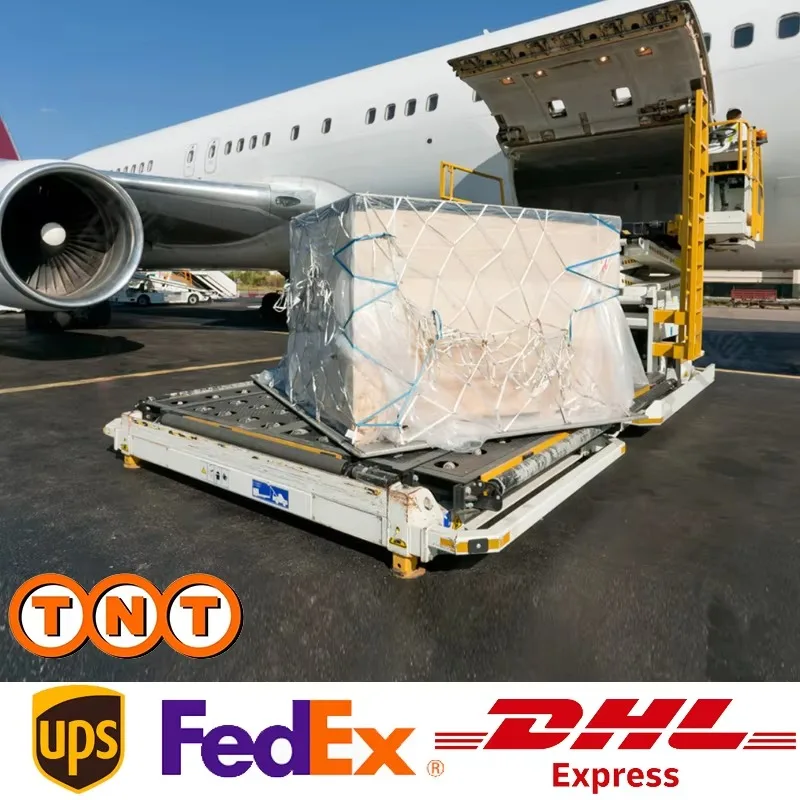 Transportation International Uzbekistan DDP Freight Forwarder Offering Reliable Logistics Services