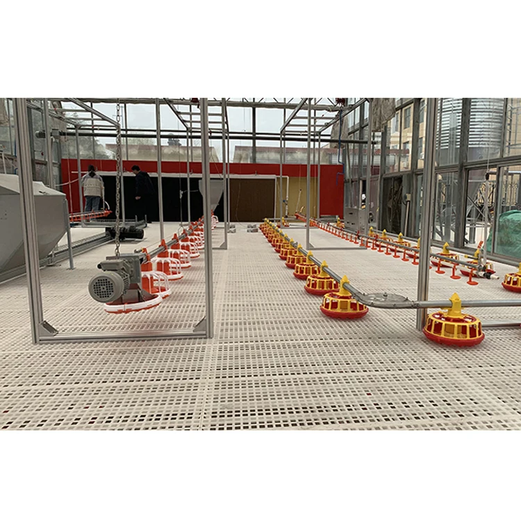 Auto feeder for chicken floor Poultry farm house animal equipment Broiler feed Chicken Feeder/ Pan Feeding System For Broiler
