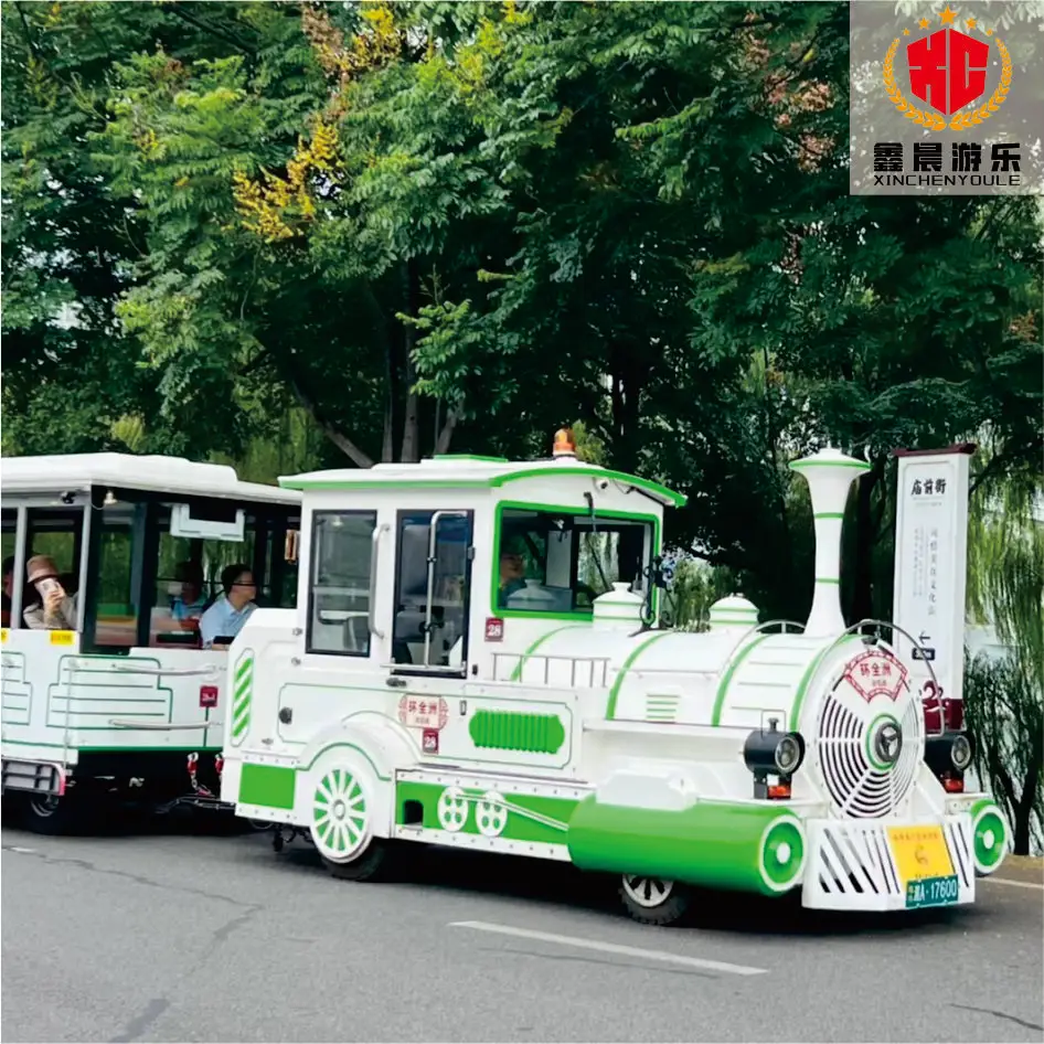 Popular Tourist Train Customized Theme Park Amusement Rides Products Track Train Ride for Sale