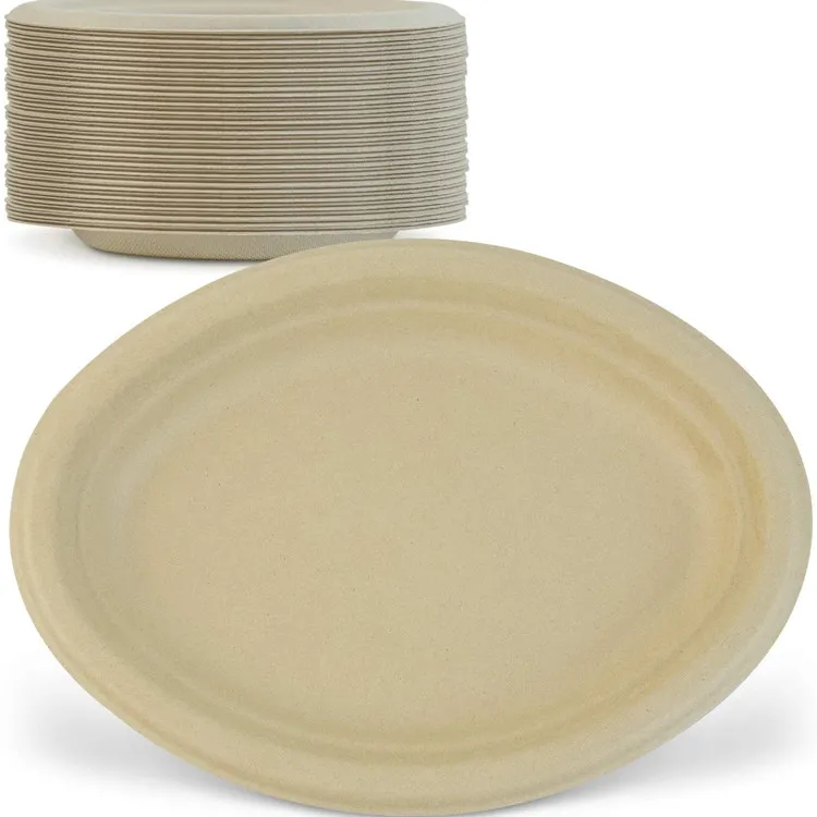Natural Plant Fiber Biodegradable sugarcane Bagasse Pulp Disposable Food Trays oval plate