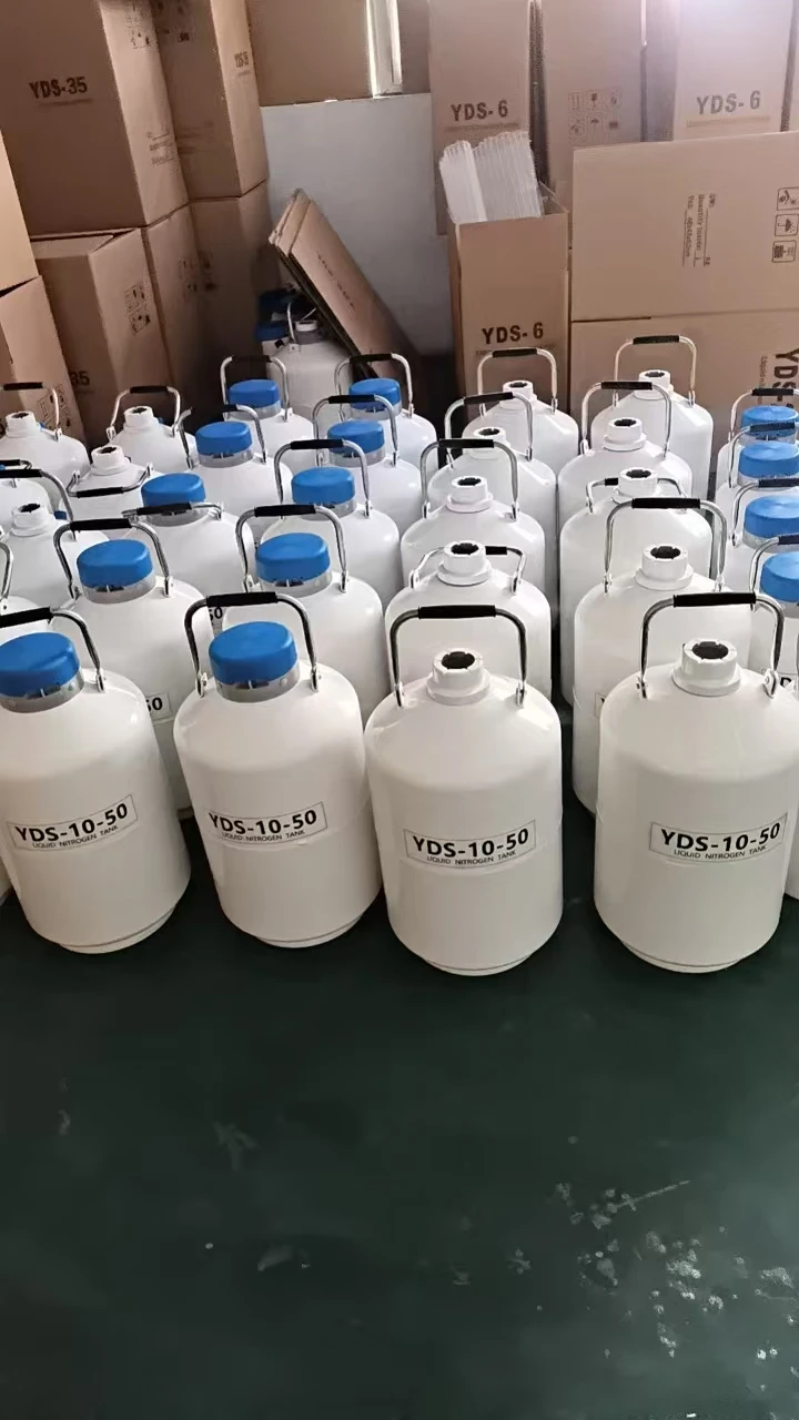 10L portable liquid nitrogen storage tank