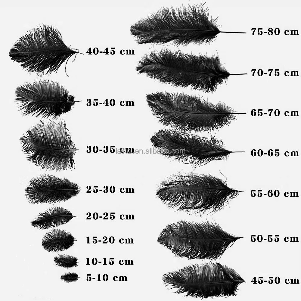 65-70cm Feather carnival Ostrich feathers white large feather plumas for wedding centerpiece headdress party costumes dance