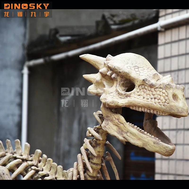 Artificial  Dinosaur bones dinosaur  skeleton fossil museum exhibition display