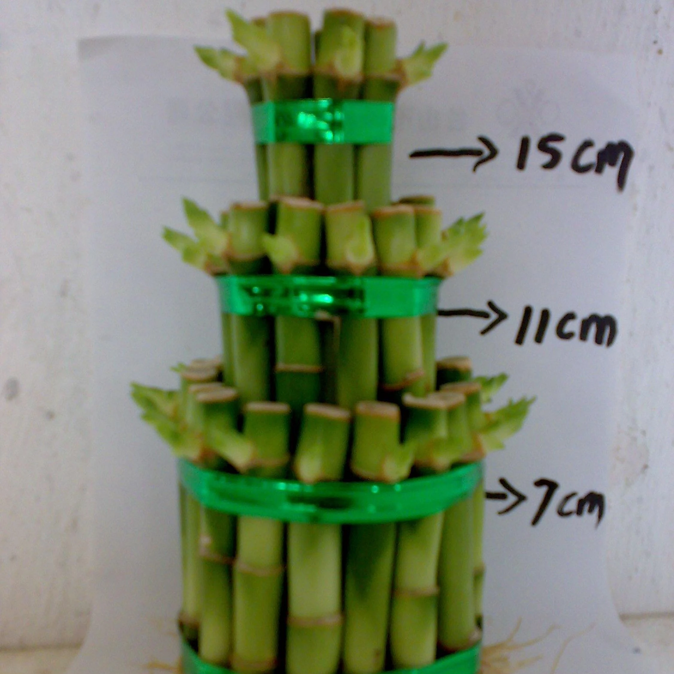 
 Тонкий белый кардиган с длинным рукавом для девочек возрастом 2 3, 5, 8 слоев башня драцена Сандера (драцена sanderiana) для украшения дома  