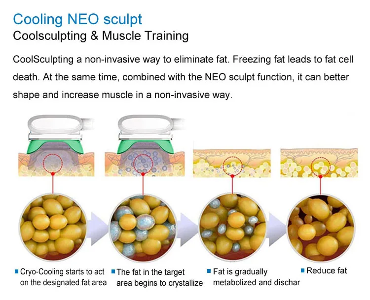 2 in 1 ems criolipolisi coolsculption fat freezing machine cryolipolysi slim machine 360 price for sale