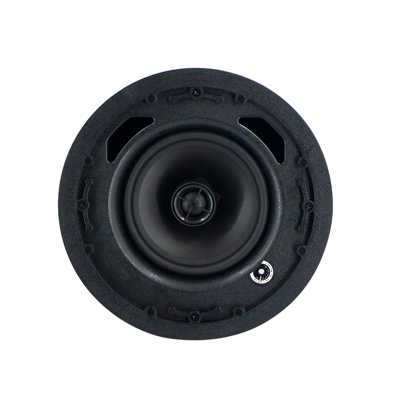 30W In Wall Ceiling Speaker with 6.5 inch Woofer and 1 Inch Tweeter for Paging System