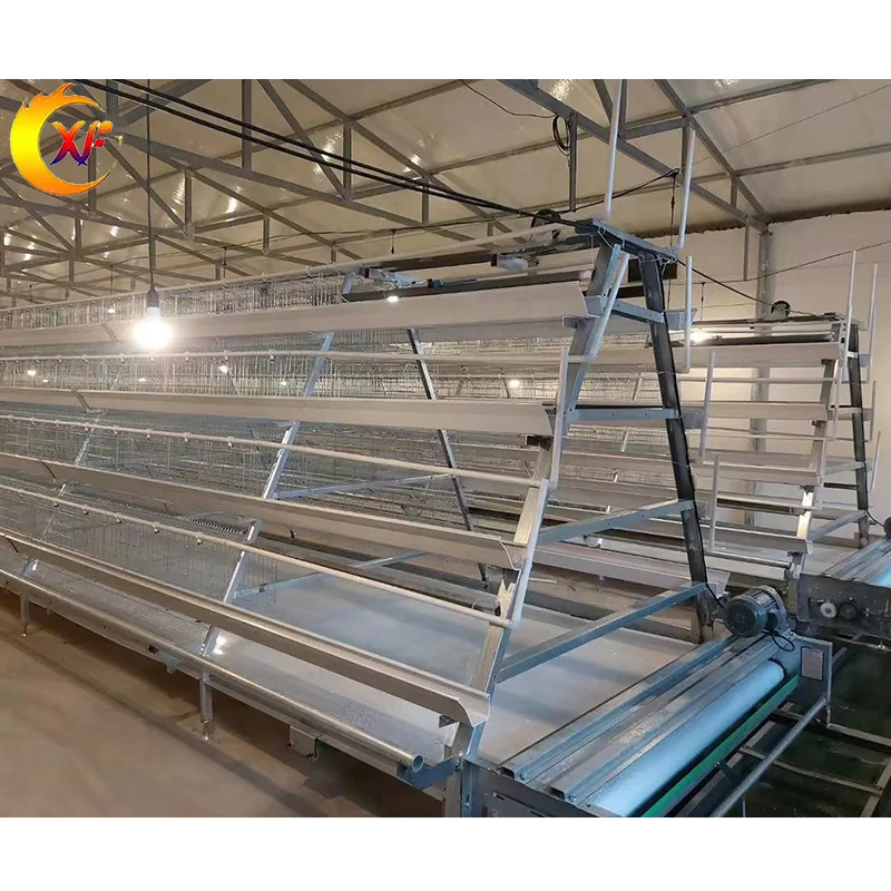 Cheap Price Poultry Farm Equipment Animal Cages Laying Hens Poultry Cages 3 Tiers Mesh Chicken Cage for 10000 Chicken Farm