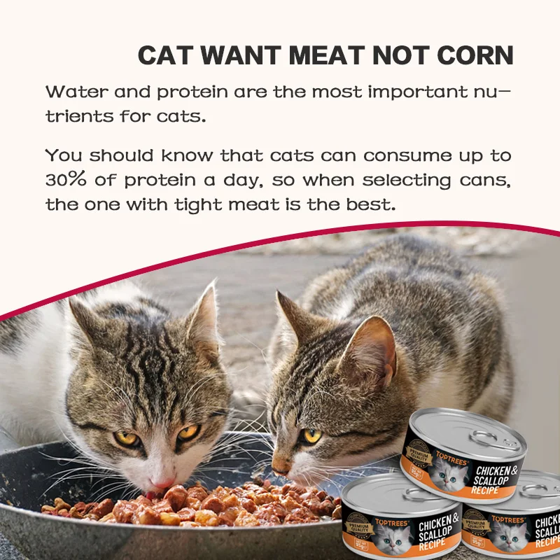 Wet Food for cat natural kitty food scallop wet snacks full of nutrient as natural cat canned food