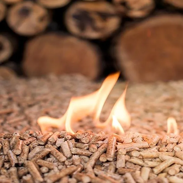 High-Quality Wood Pellets Sawdust Briquette Competitive Wholesale Price From china wood pellet mill machine sawdust